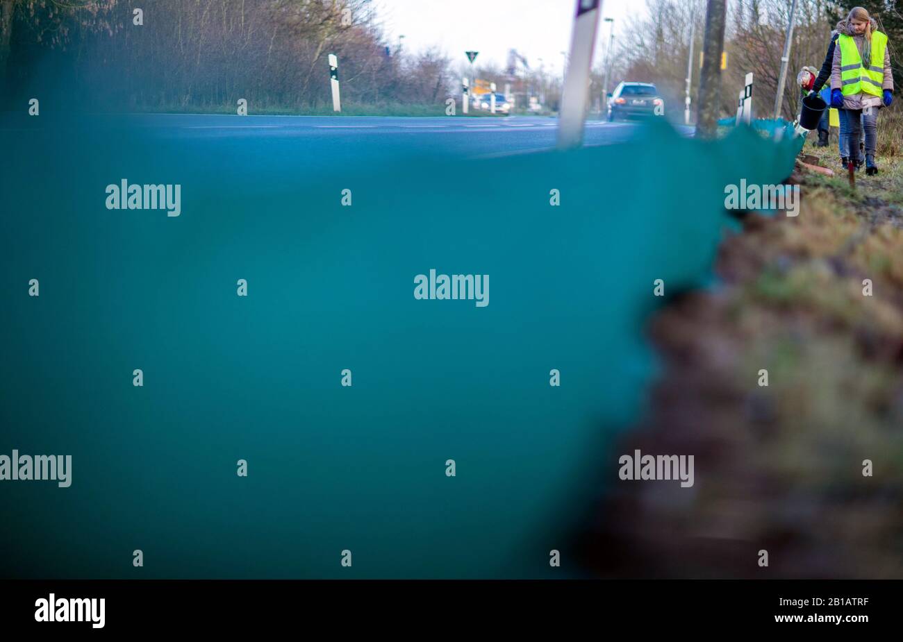 Schwerin, Germany. 21st Feb, 2020. Animal welfarists check collection buckets at the toad fence on the Babenkoppel. With night temperatures of over five degrees and rain, many newts, frogs and toads begin their migrations from their winter hiding place to the spawning grounds. To protect the animals, environmentalists put up toad fences along busy roads in spring, collect the amphibians there and bring them in buckets over the roadway. Credit: Jens Büttner/dpa-Zentralbild/ZB/dpa/Alamy Live News Stock Photo