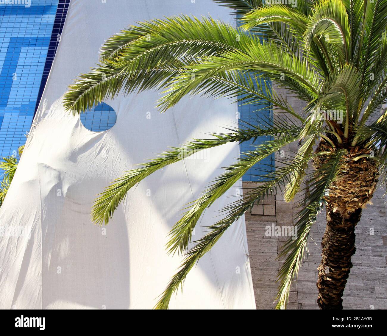 A close up view from above of part of a swimming pool with a white canopy stretched over it and a palm tree next to it. Stock Photo