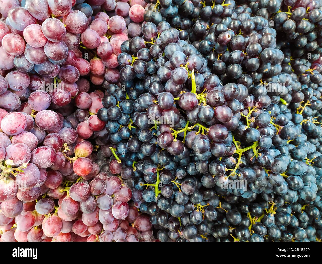 Black grapes background. Bunches of black grapes at a market or
