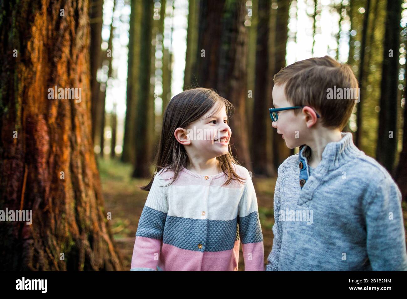 Redwood park primary school hi-res stock photography and images - Alamy