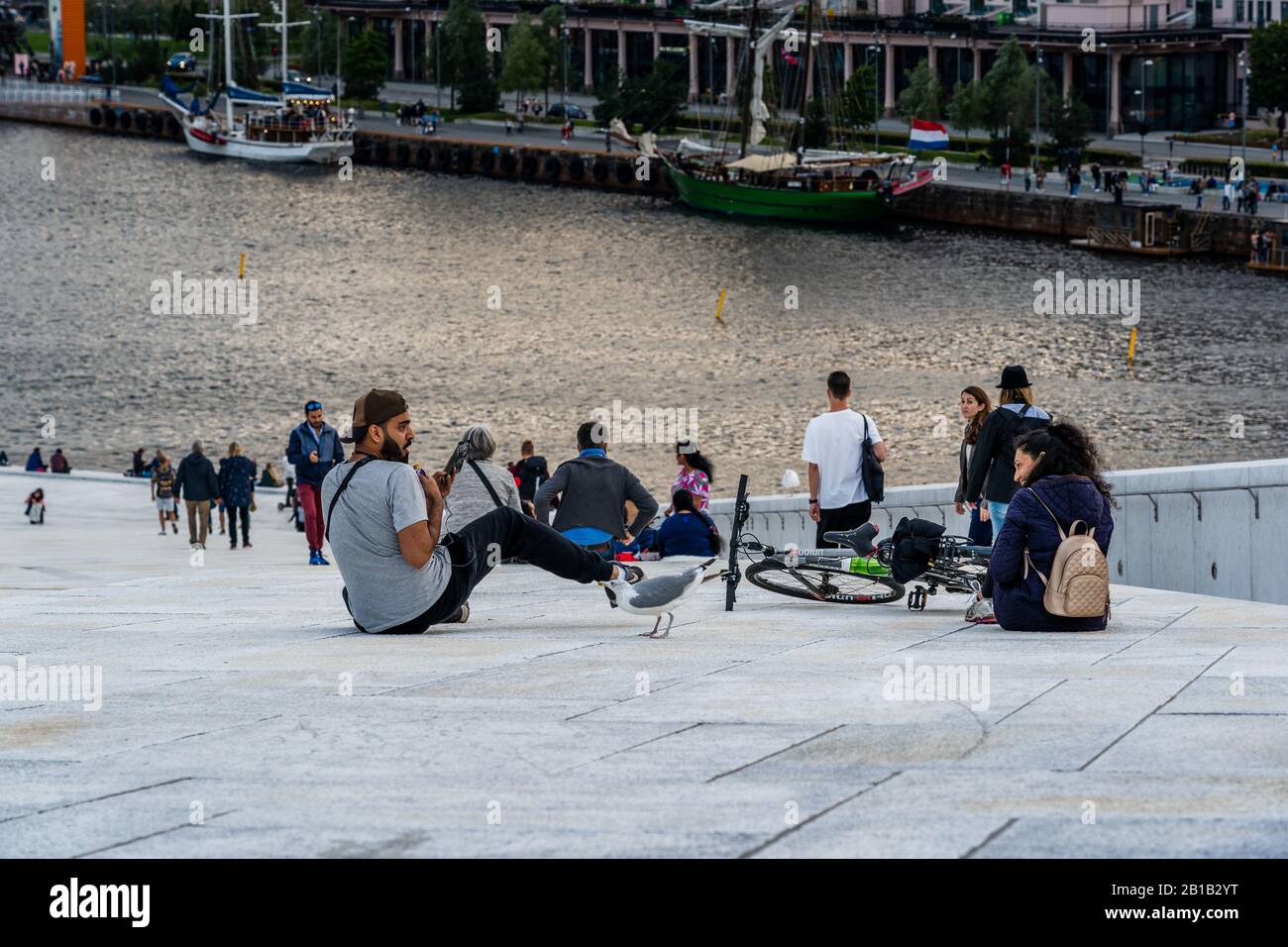 Editorial 08.31.2019 Oslo Norway Seagull scares a man that tries to feed him and girls is laughing Stock Photo