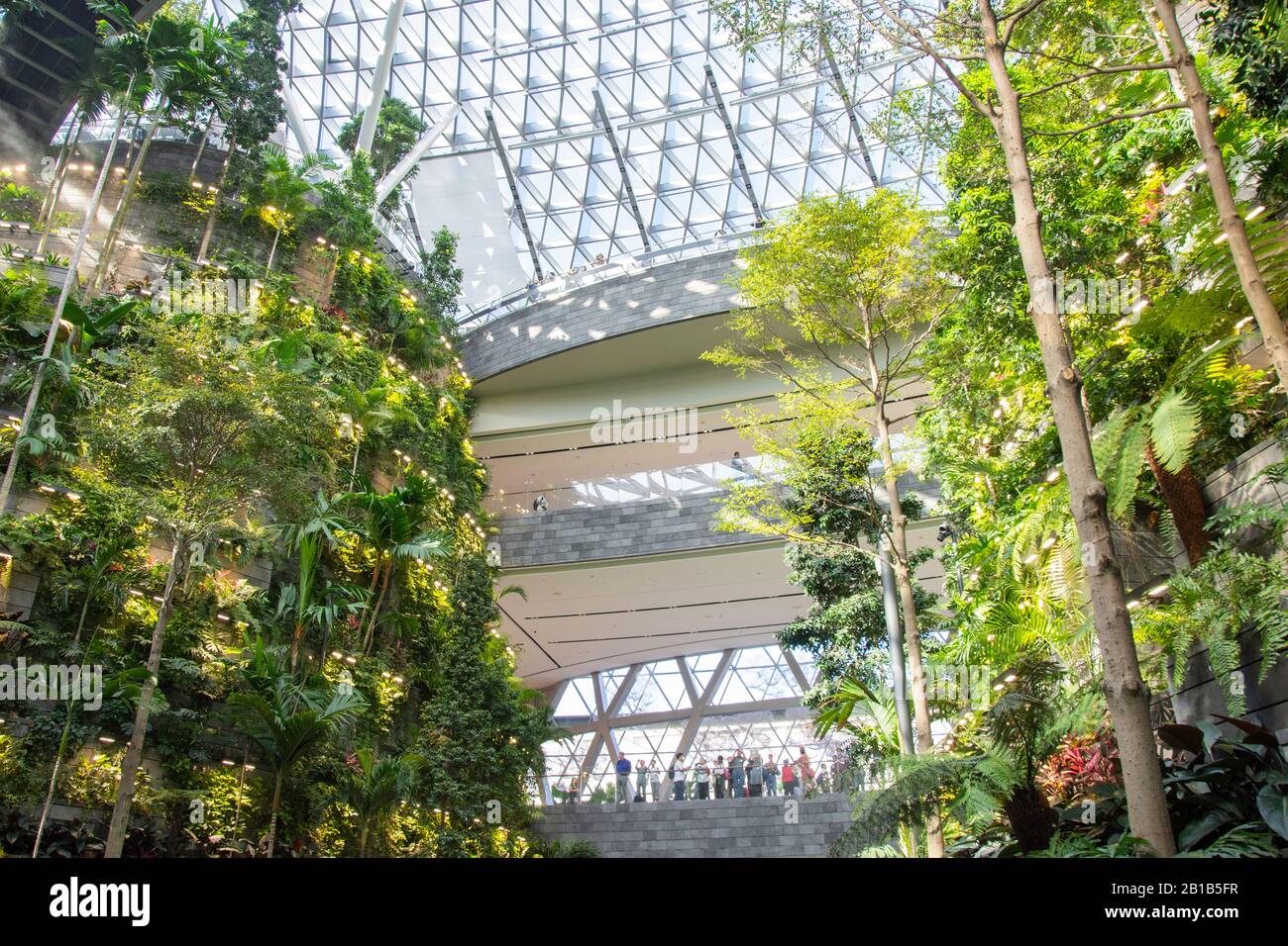 The Shiseido Forest Valley at Jewell Changi Airport, Changi, Singapore Island, Singapore Stock Photo
