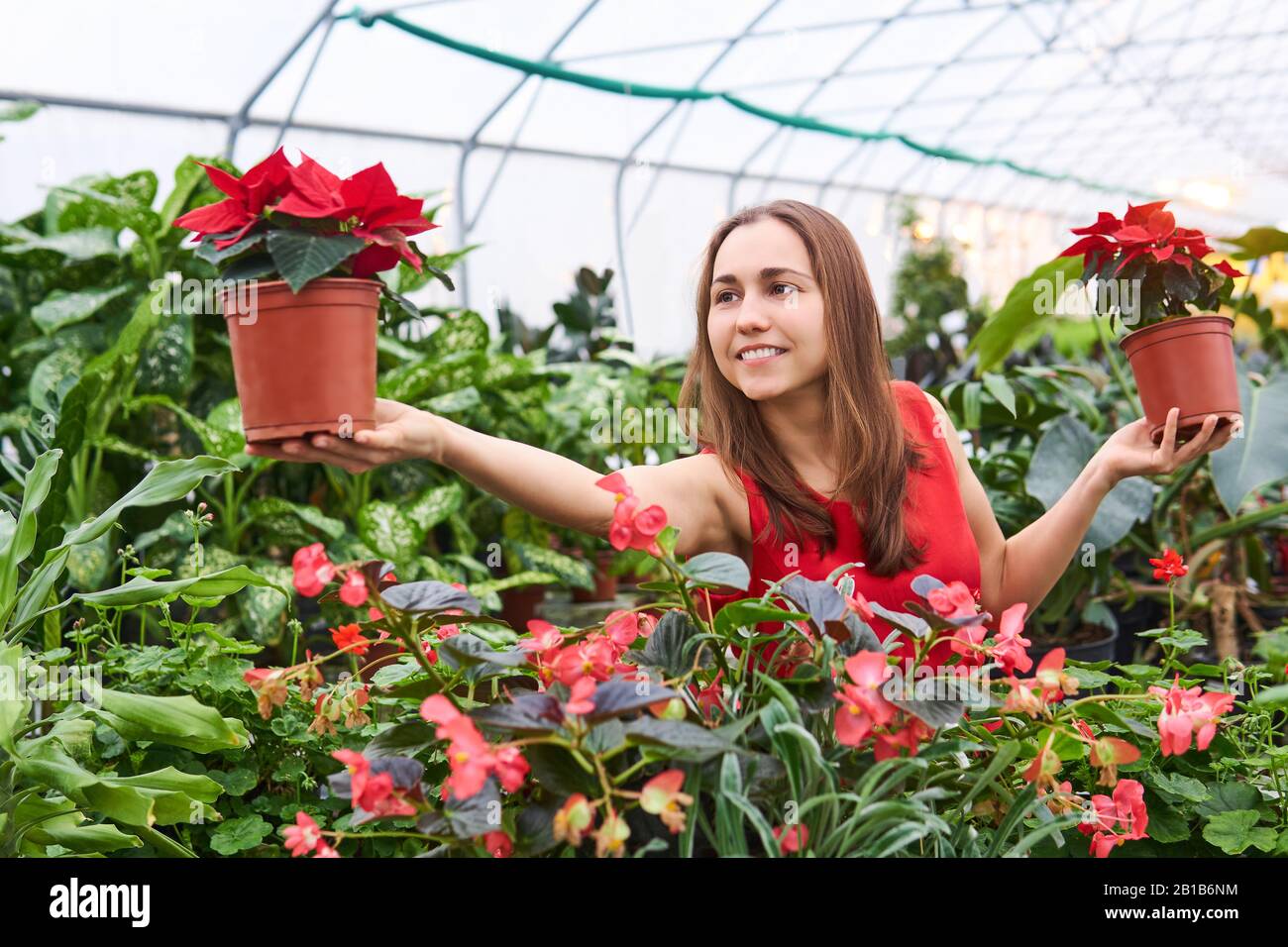 young woman in a greenhouse smiling holds indoor plants in flower pots ...