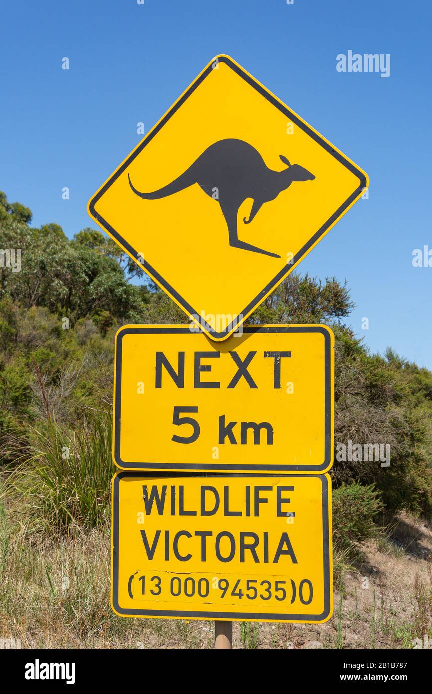 Kangaroo road sign in Great Otway National Park, Barwon South West Region, Victoria, Australia Stock Photo