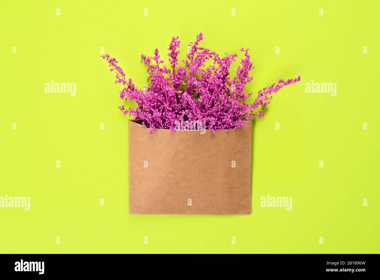 Bright Purple Or Violet Flowers In Craft Brown Envelope With Copy