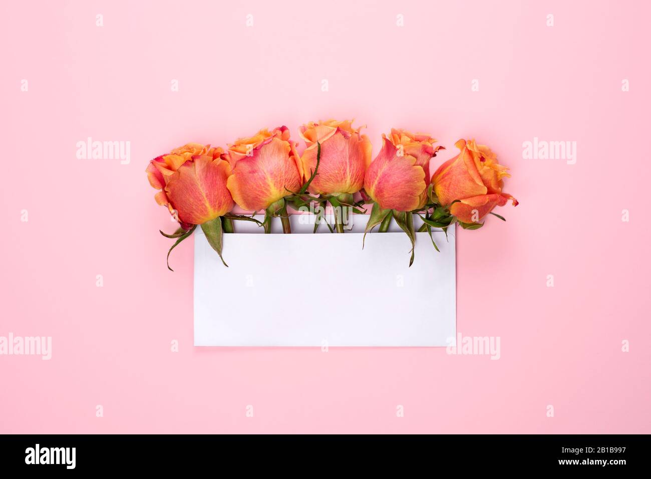 Five Pink Rose Flowers Arrangement With Blank Card On Light Pink