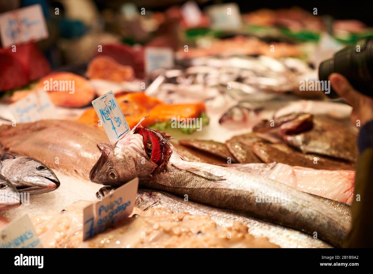 Seafood counter in Spanish food market Stock Photo Alamy