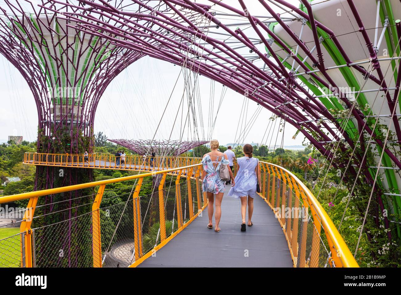Tourists walking on the airbridge between two of the supertree structures in the Gardens by the Bay, Singapore, Asia, Stock Photo