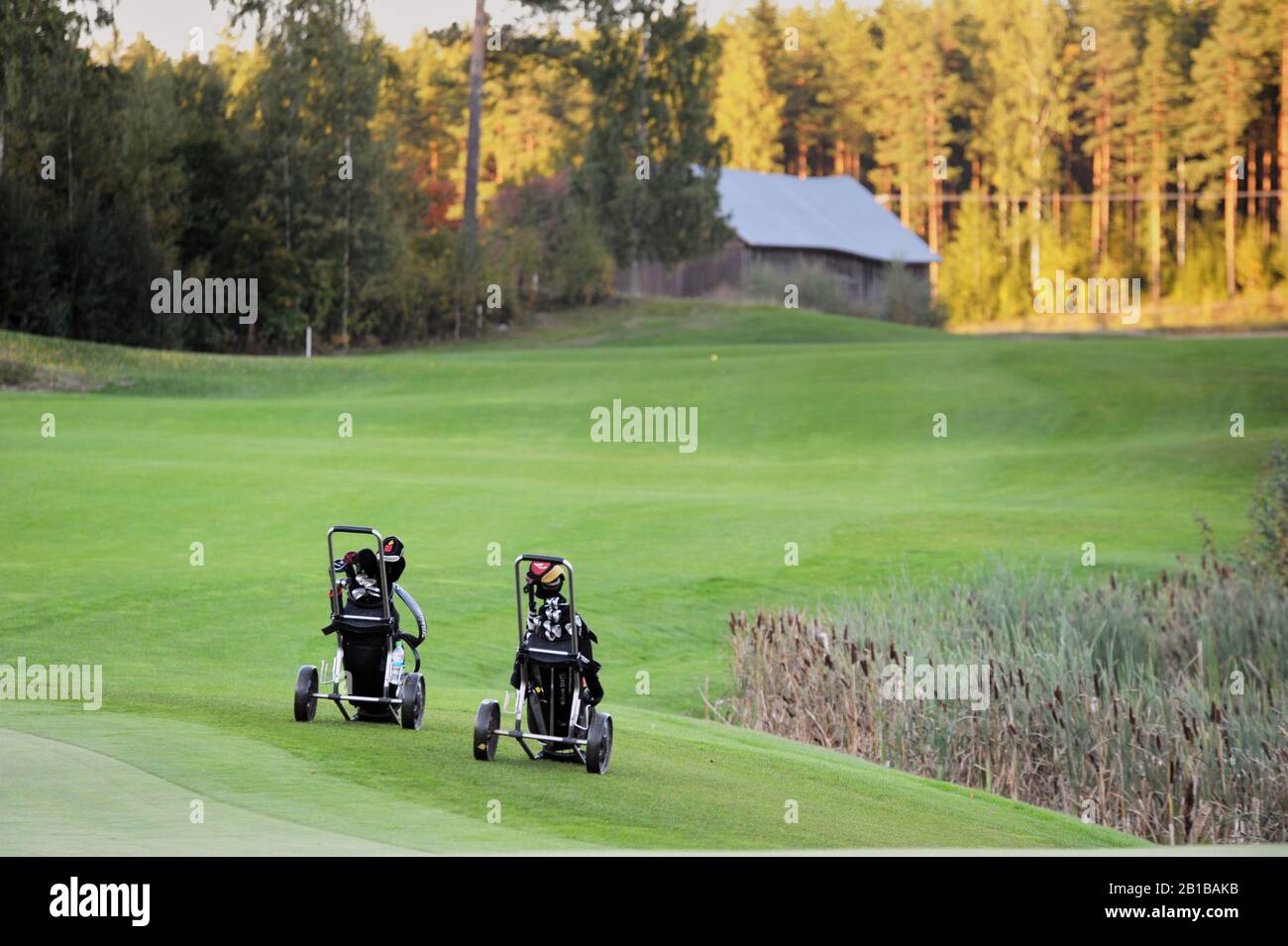 Golf bags on golf course Stock Photo