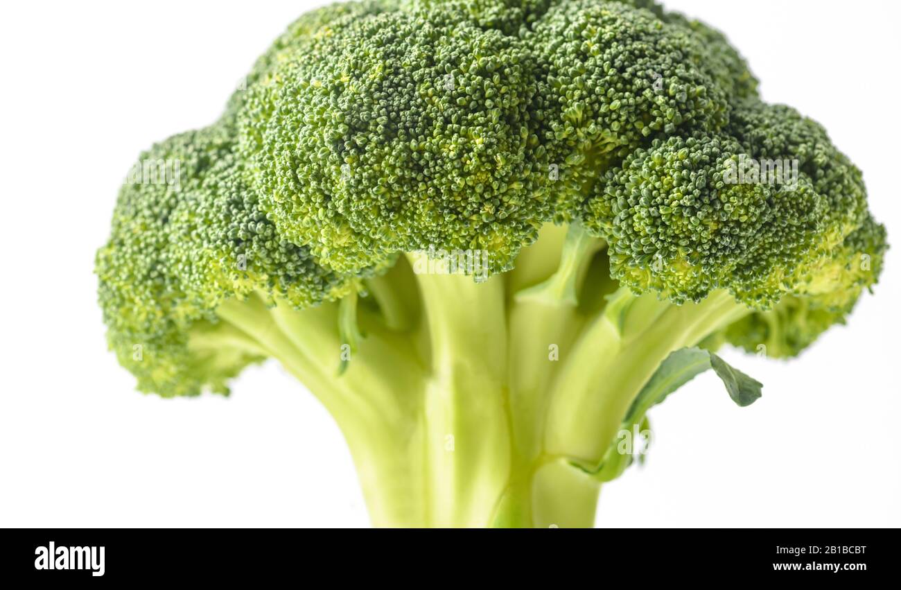 Broccoli isolated on white background. Vegetables natural source of beta carotene, vitamin c, vitamin k, fiber food, folate. Fresh broccoli cabbage. Stock Photo