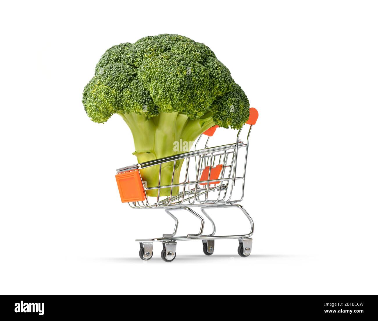 Fresh broccoli. Broccoli in the grocery cart. Shopping cart isolated on white bacnground. Broccoli isolated on white background. Copy space Stock Photo