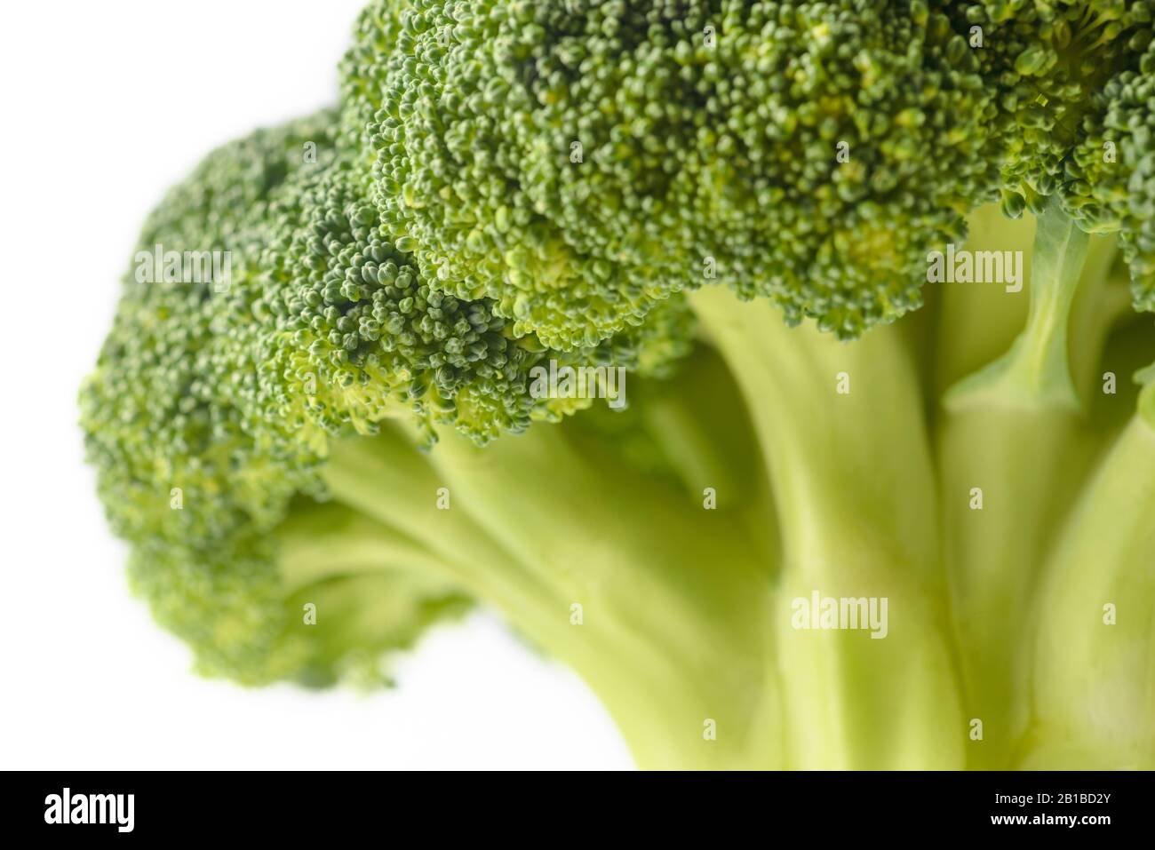 Broccoli isolated on white background. Vegetables natural source of beta carotene, vitamin c, vitamin k, fiber food, folate. Fresh broccoli cabbage. Stock Photo