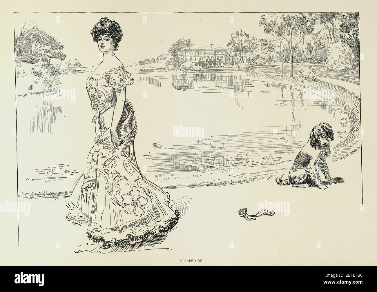 A Widow And Her Friends, Charles Dana Gibson. Stepped on Stock Photo