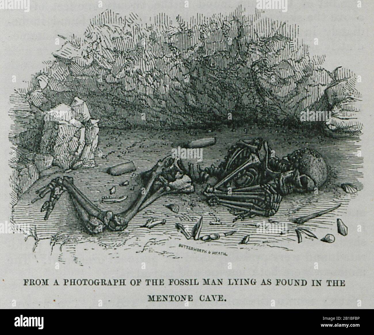 Henry cave hires stock photography and images Alamy