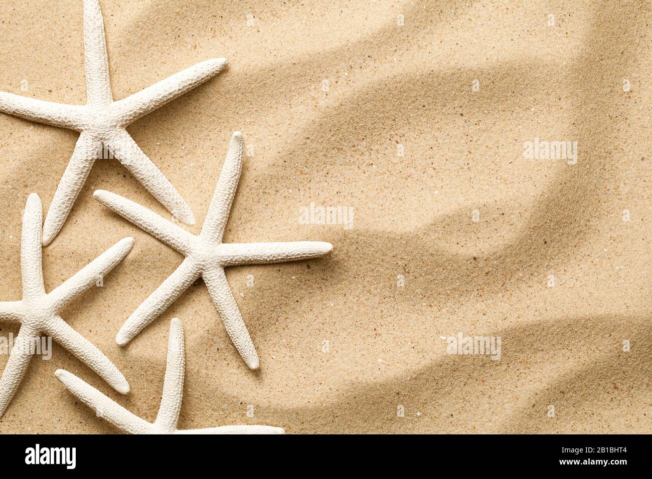 Starfishes on sand background. Top view. Flat lay Stock Photo