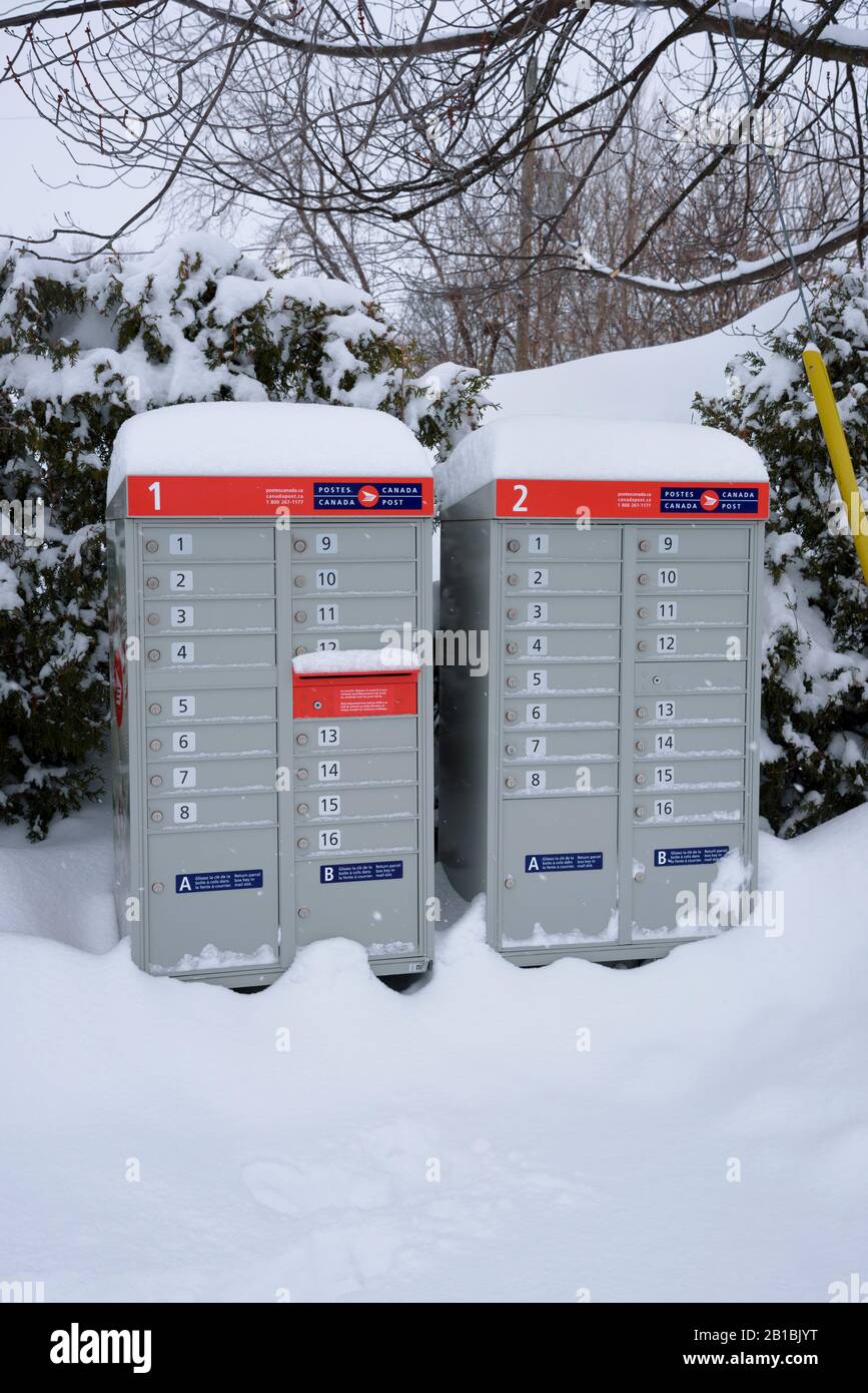 Canada Post communal mailbox covered with snow. Stock Photo