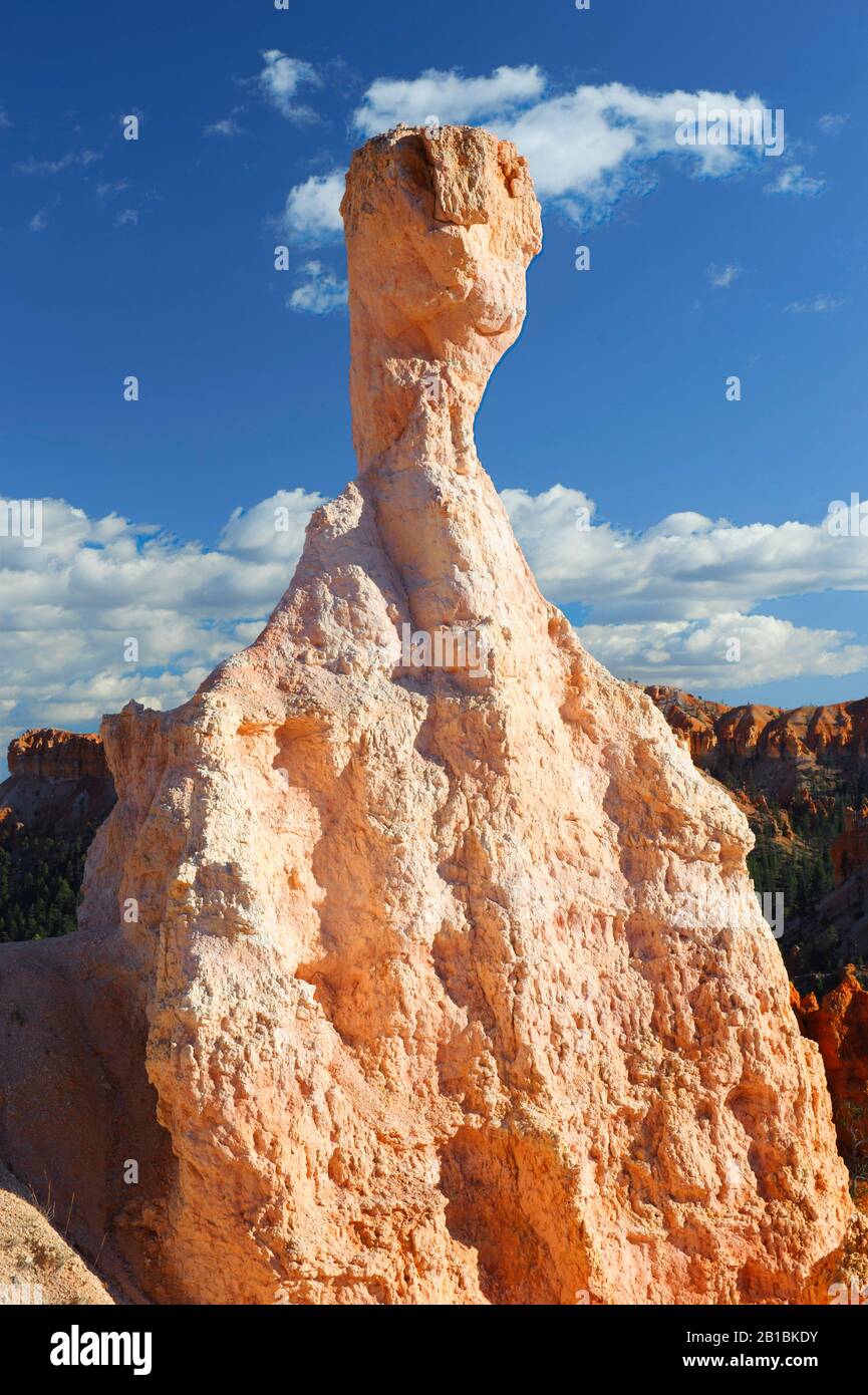 A hoodoo (eroded sandstone pillar) against a deep blue sky in Bryce Canyon National Park, Utah, USA. Stock Photo