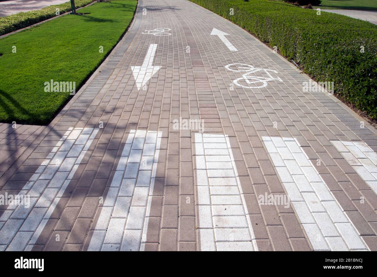 Dubai-Al Barsha Pond Park bycicle lane with pedestrian lines Stock Photo