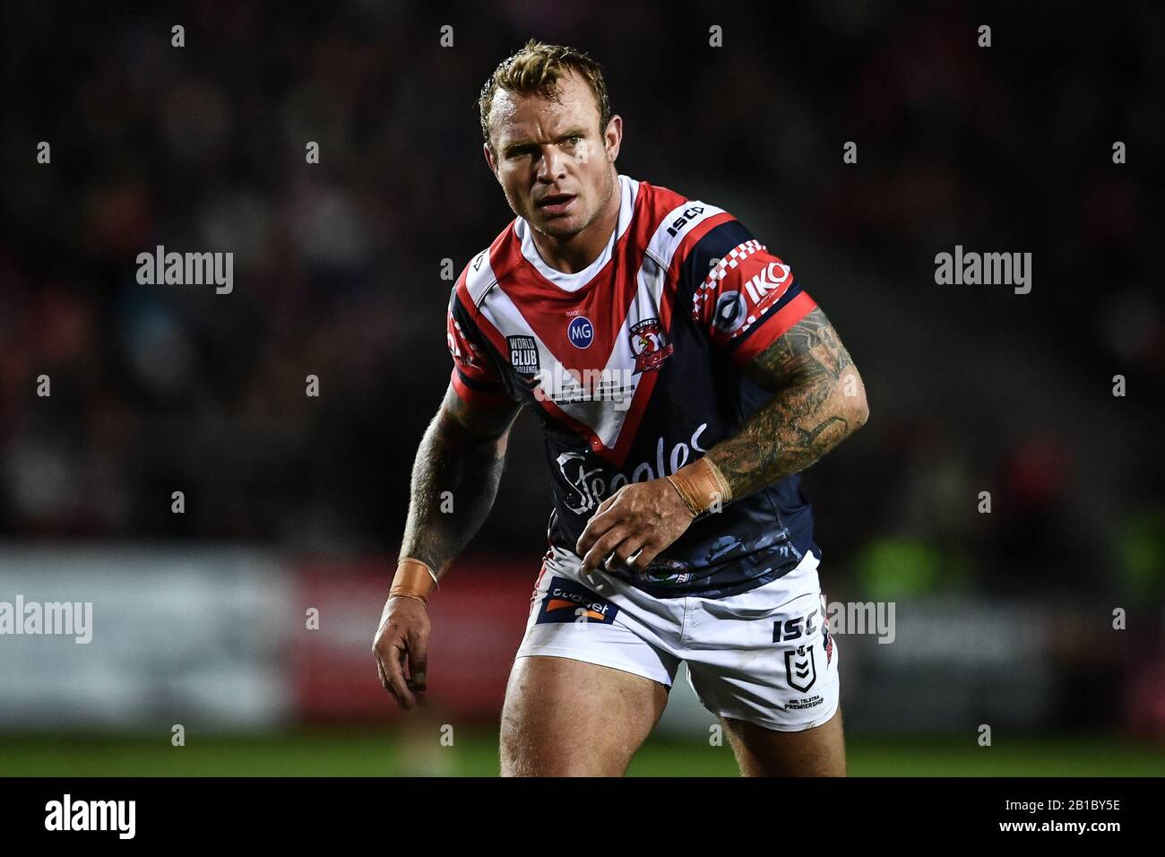 Sydney roosters hi-res stock photography and images - Alamy