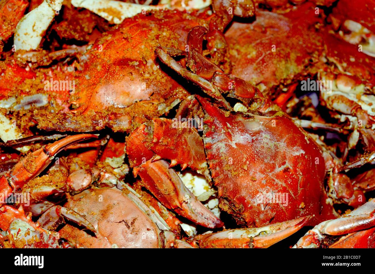 SEA FEAST: These red crabs are served up hot at a Maryland seafood festival. Stock Photo