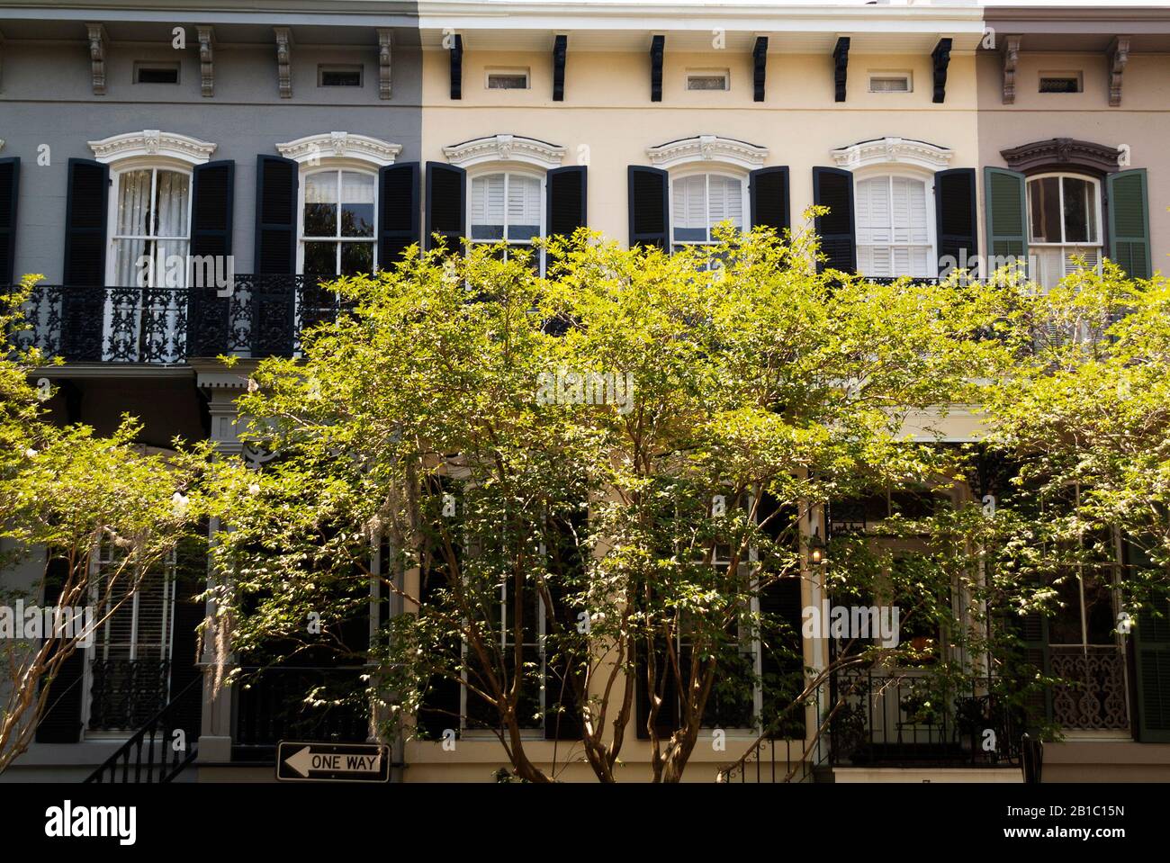 FRONT STREET: Residential town homes in downtown historic Savannah, Georgia are hidden in obscurity by small trees lining the street. Stock Photo