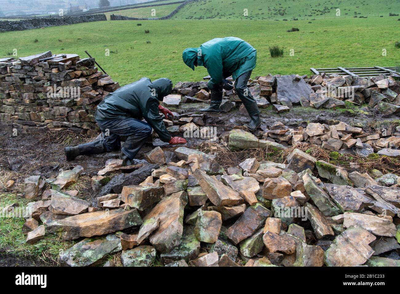 Farmers drystone walling in the rain, North Yorkshire, UK. Stock Photo