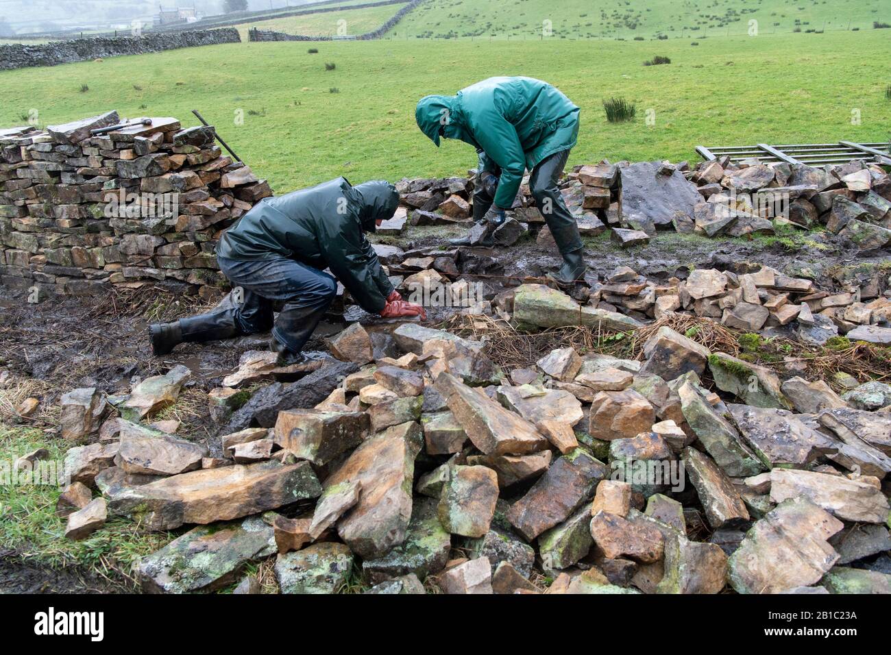 Farmers drystone walling in the rain, North Yorkshire, UK. Stock Photo