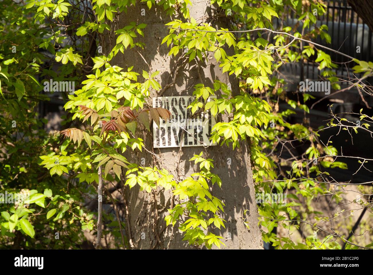 PARKS AND RECREATION VOLUME 3 Paterson Great falls National historic