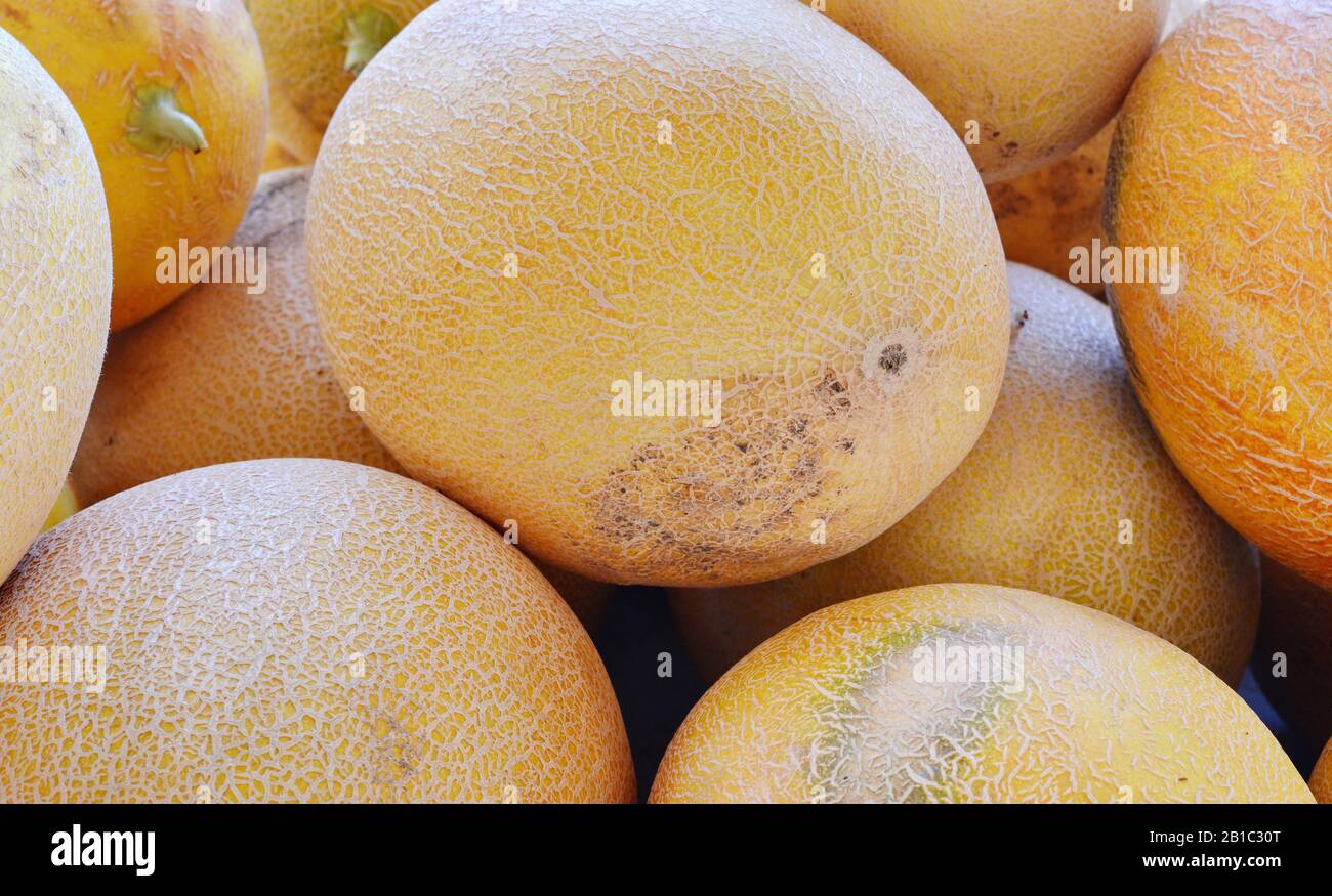 Melons on market Stock Photo Alamy