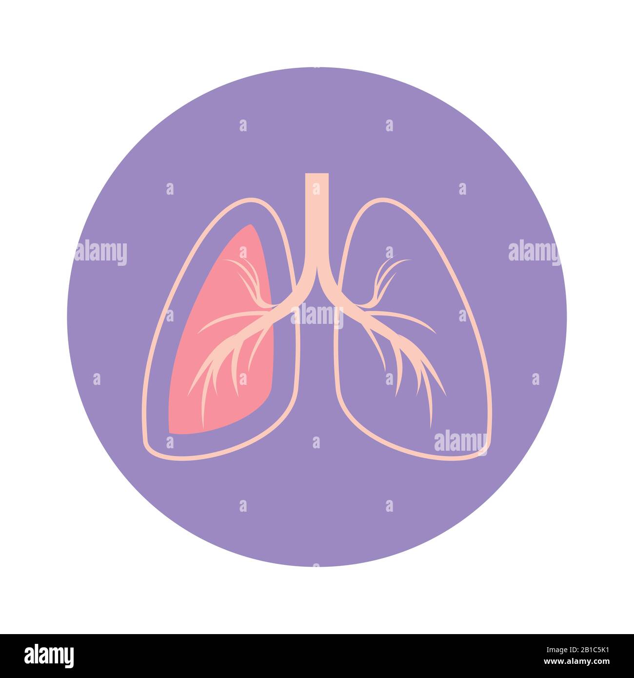 Isolated lungs icon vector design Stock Vector Image & Art - Alamy