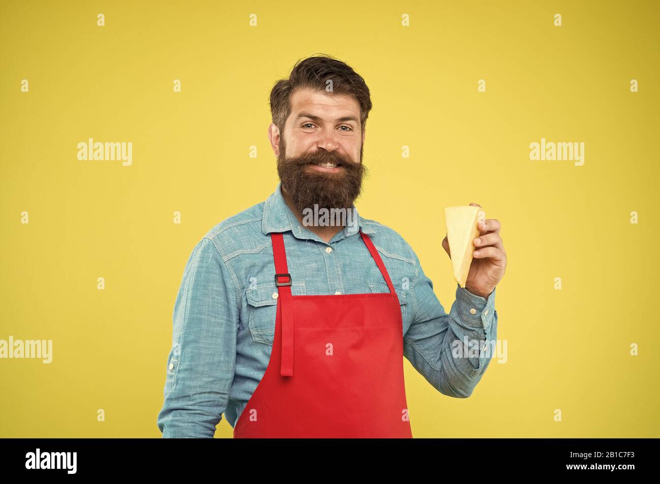 Cheese maker. Bearded man in apron hold piece cheese. Cheese making