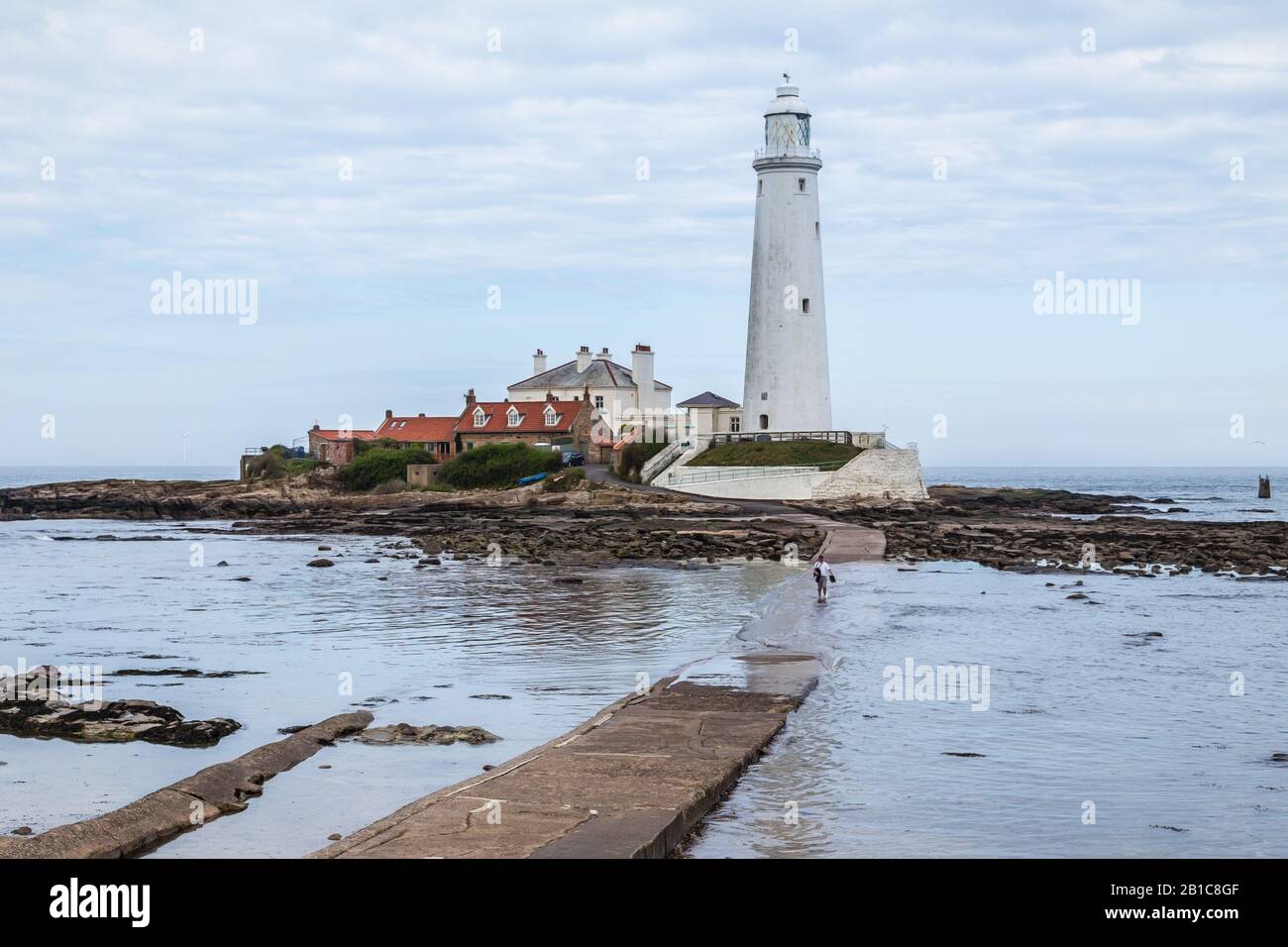 Man wading through the water as the tide comes in at St Mary's Lighthouse, Whitley Bay, North East England. The causeway is underwater at high tide. Stock Photo