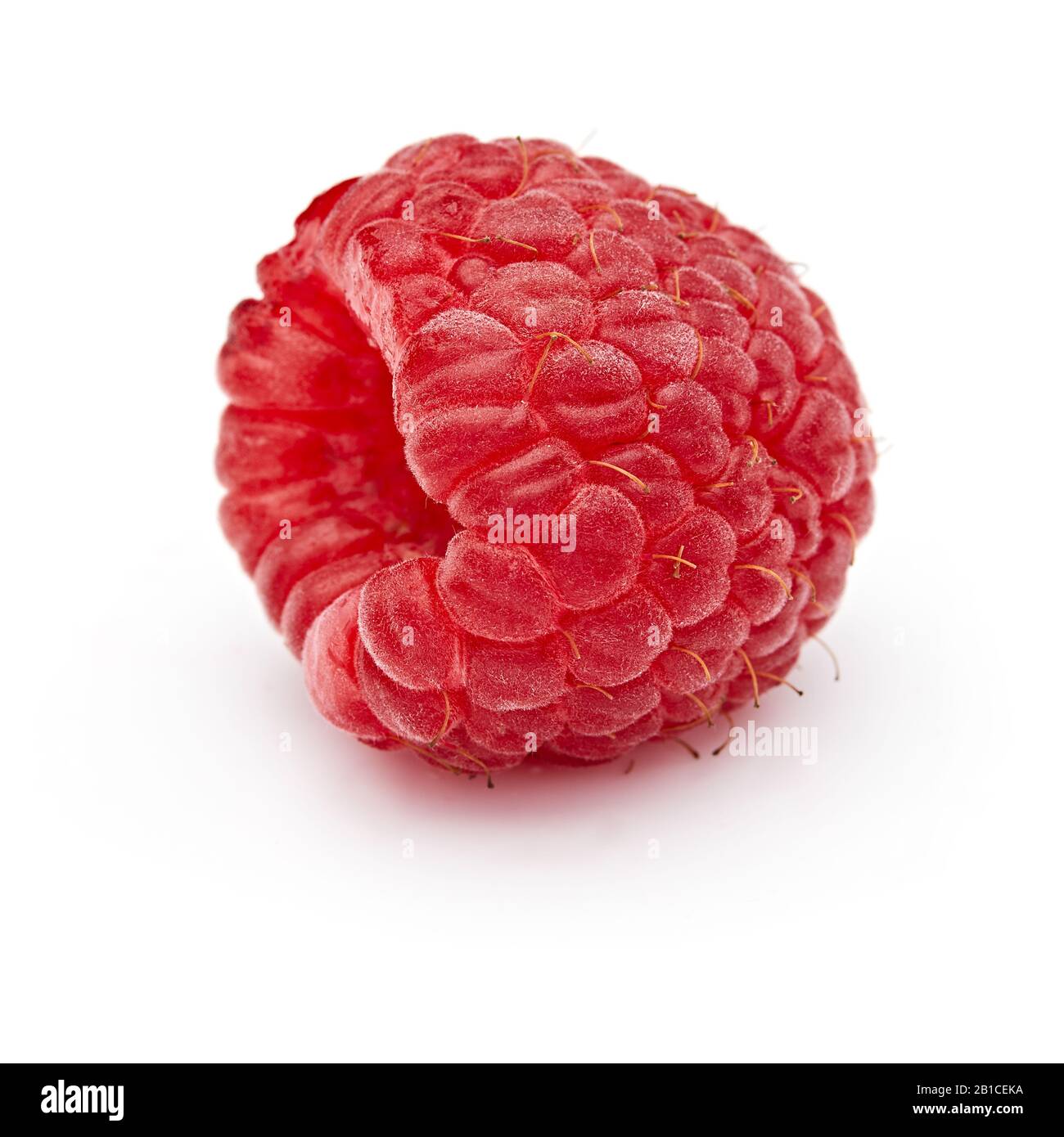 Raspberry Reference Photo Raspberry Isolated on White Background Stock Photo - Alamy