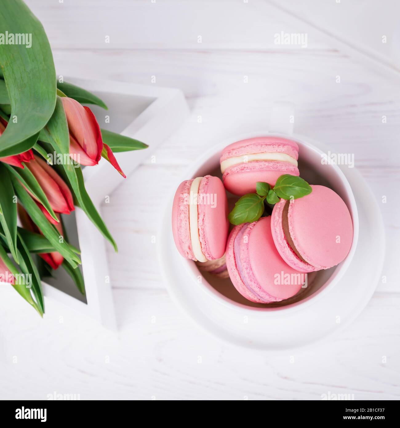 Homemade french dessert pink macaroons or macarons and spring tulips on ...