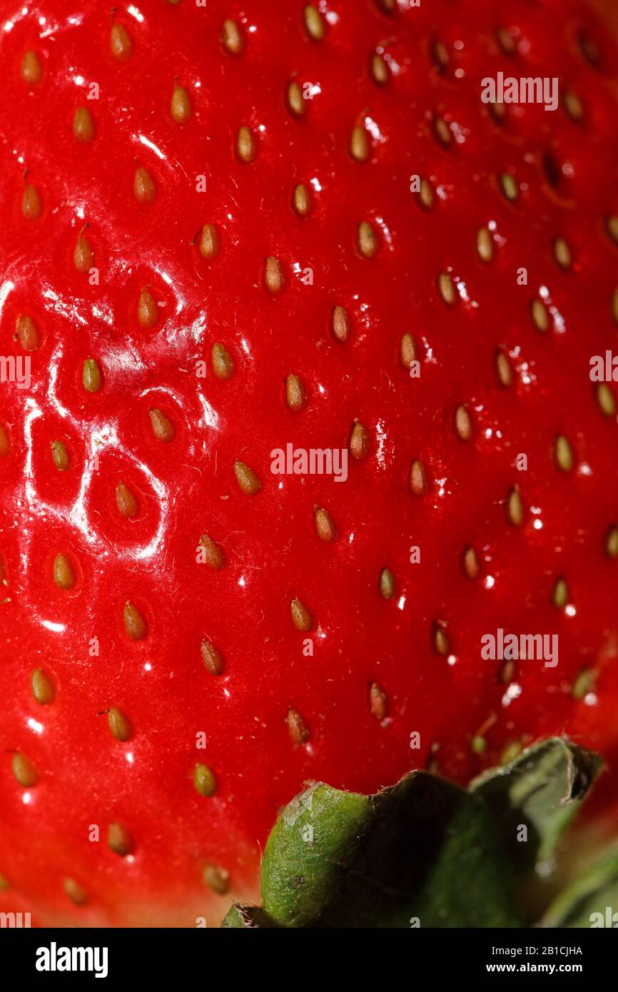 Strawberry fruit center close up background high quality Stock Photo