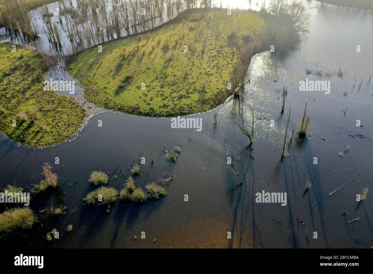 moorland Hellmoor, aerial view, Germany, Schleswig-Holstein, Panten Stock Photo
