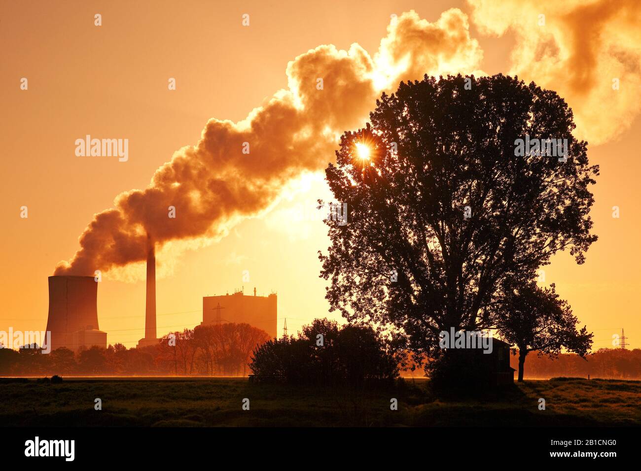 hard coal-fired power station Heyden at sunrise, Germany, North Rhine-Westphalia, Petershagen Stock Photo