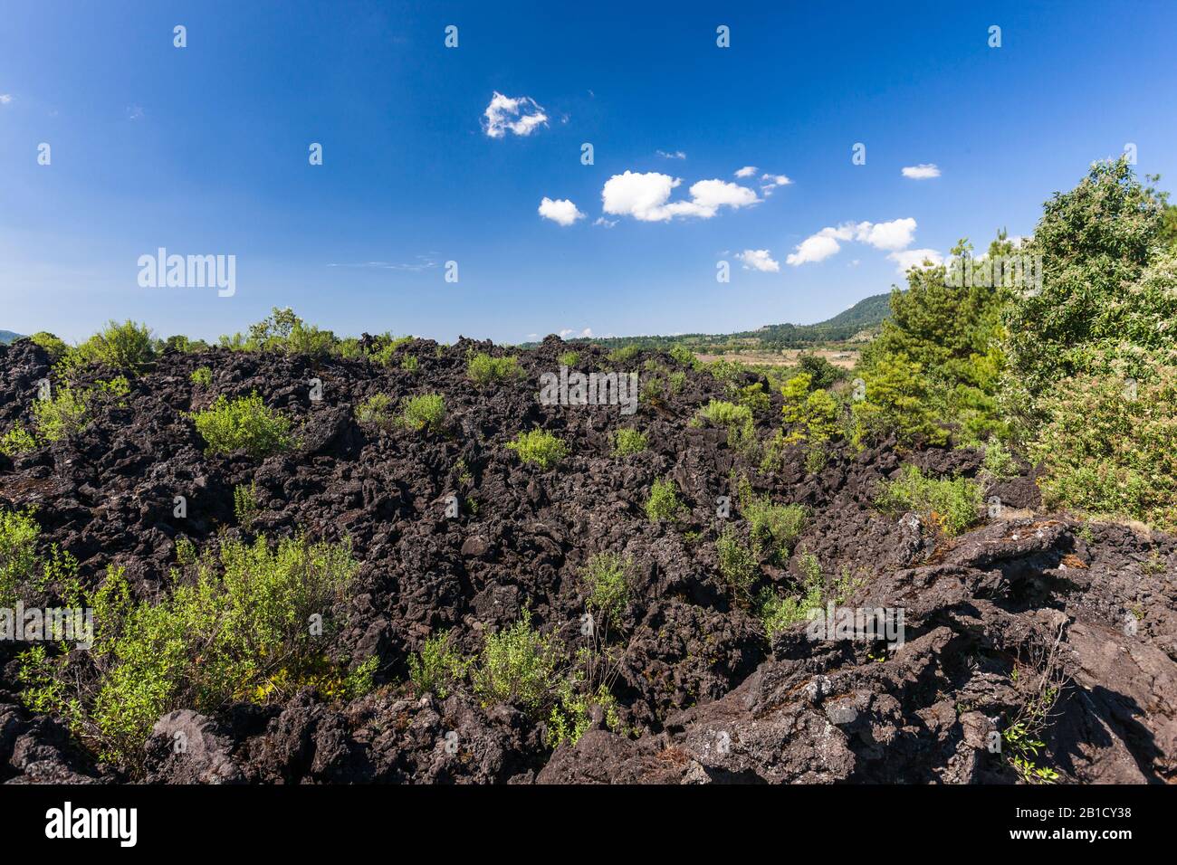 Paricutin volcano, and Lava field, state of Michoacan, Mexico, Central America Stock Photo