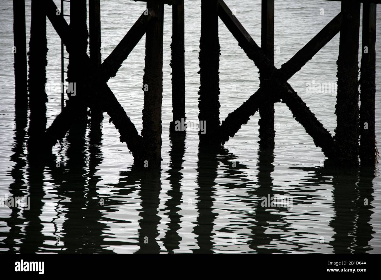 A monotone silhouette of the wooden legs of an old jetty and their reflection in a river. Stock Photo