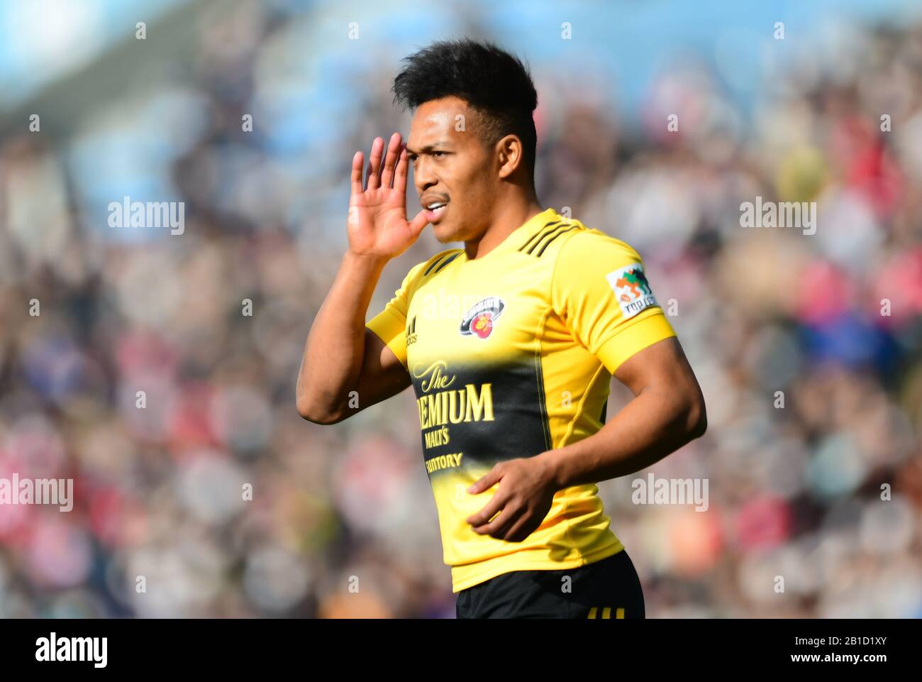 suntory sungoliath jersey