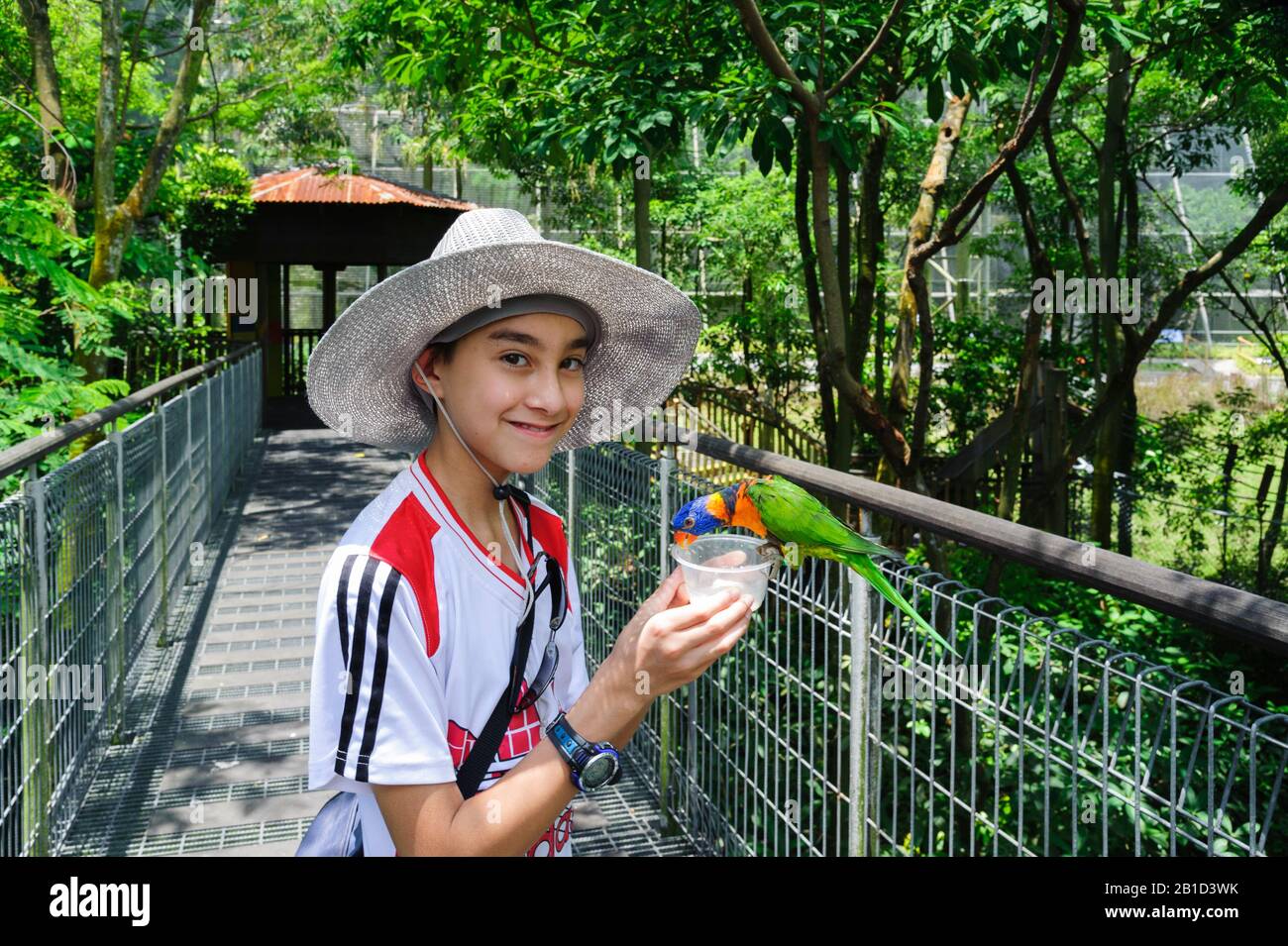 Boy feeding a parakeet at Jurong Bird Park in Singapore while mother takes a photo. Stock Photo