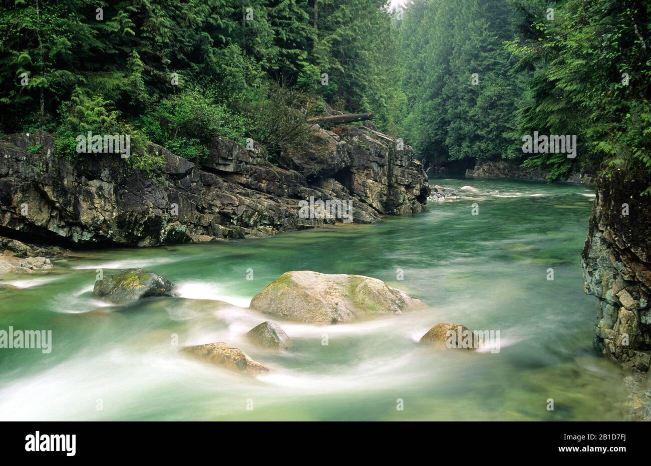 Gold Creek, Golden Ears Provincial Park, British Columbia, Canada Stock Photo