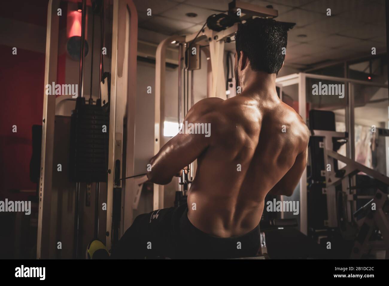 Athlete makes low cable pulley row seated in gym Close back view Stock Photo