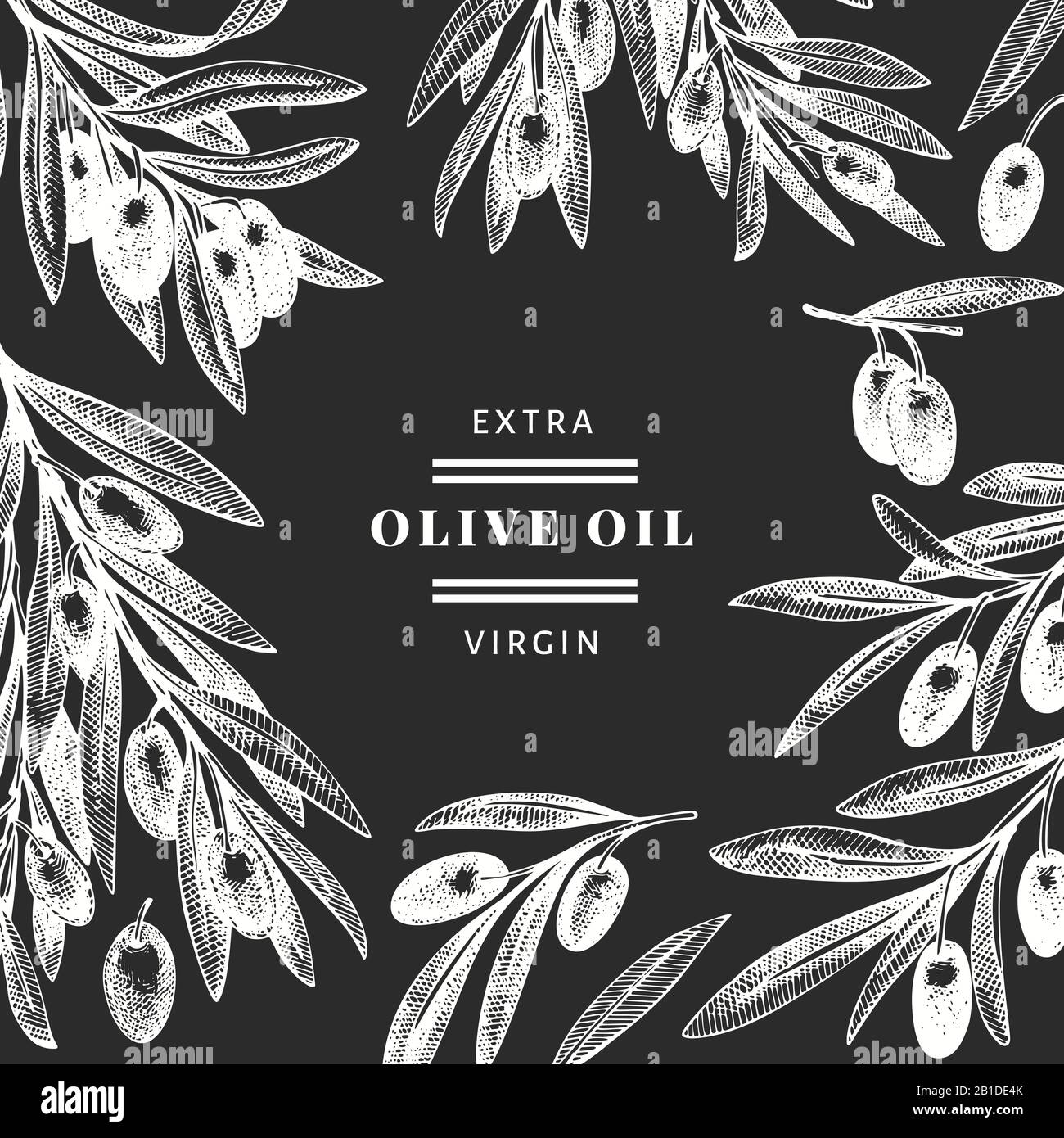 Olive branch design template. Hand drawn vector food illustration on ...