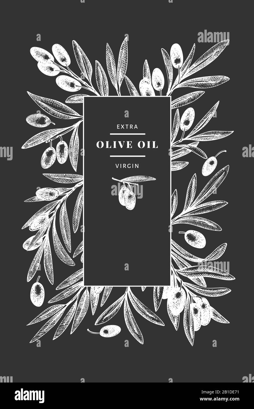 Olive branch design template. Hand drawn vector food illustration on ...