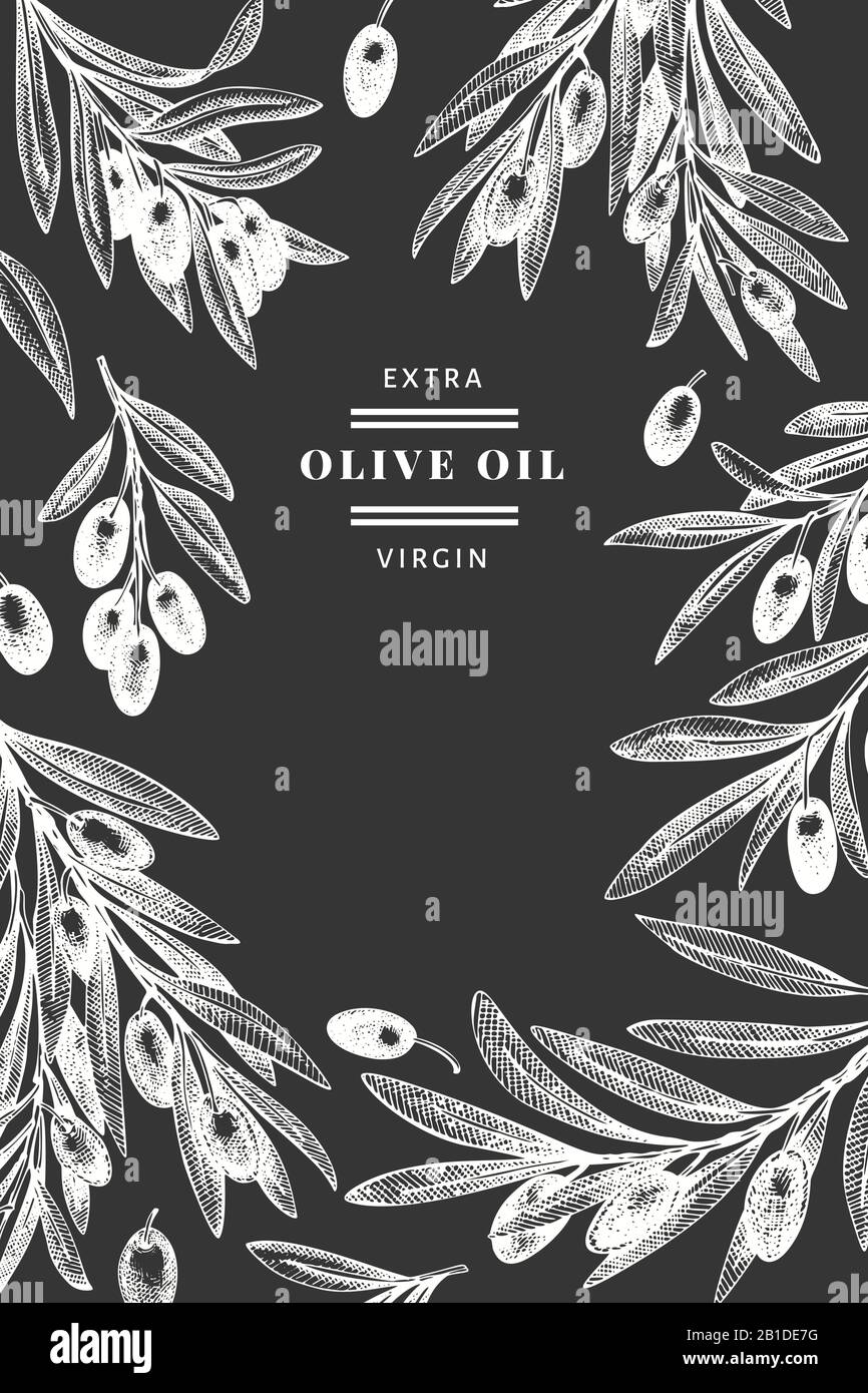 Olive branch design template. Hand drawn vector food illustration on ...