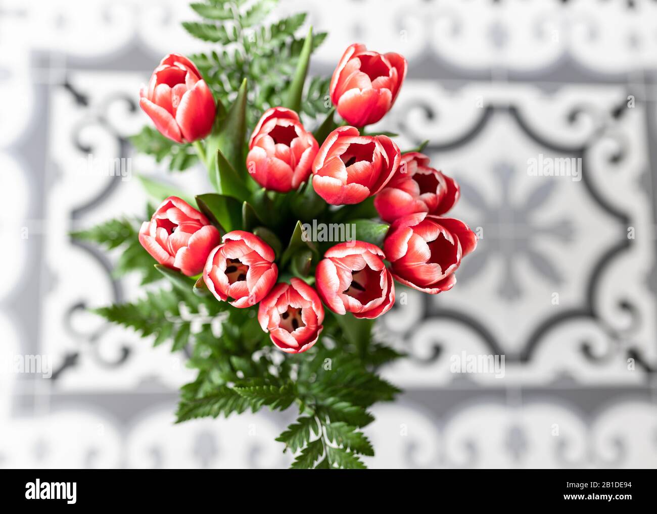 Overhead view of a red, white edges tulips bouquet on a hydraulic background. Stock Photo