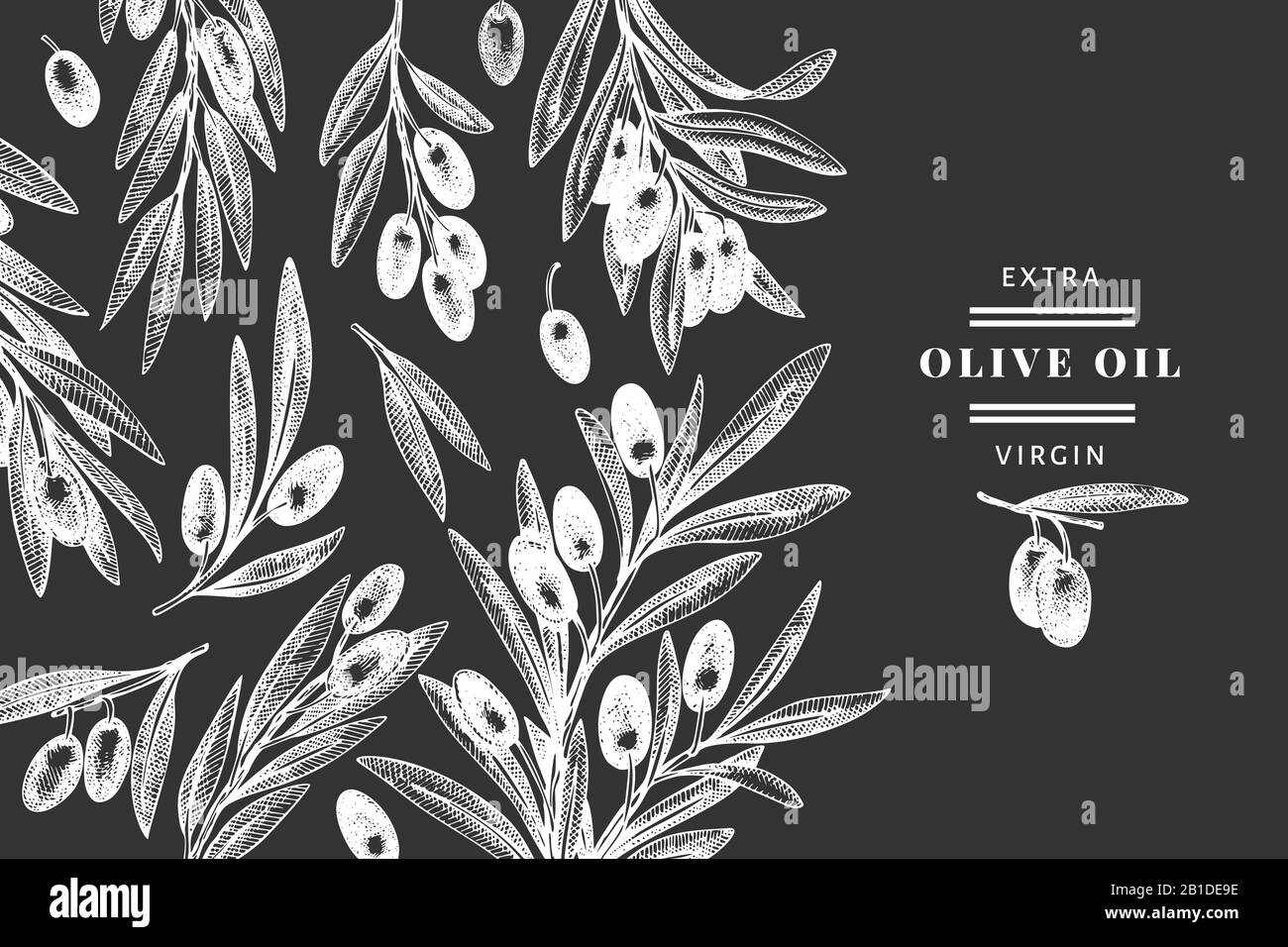 Olive branch design template. Hand drawn vector food illustration on ...