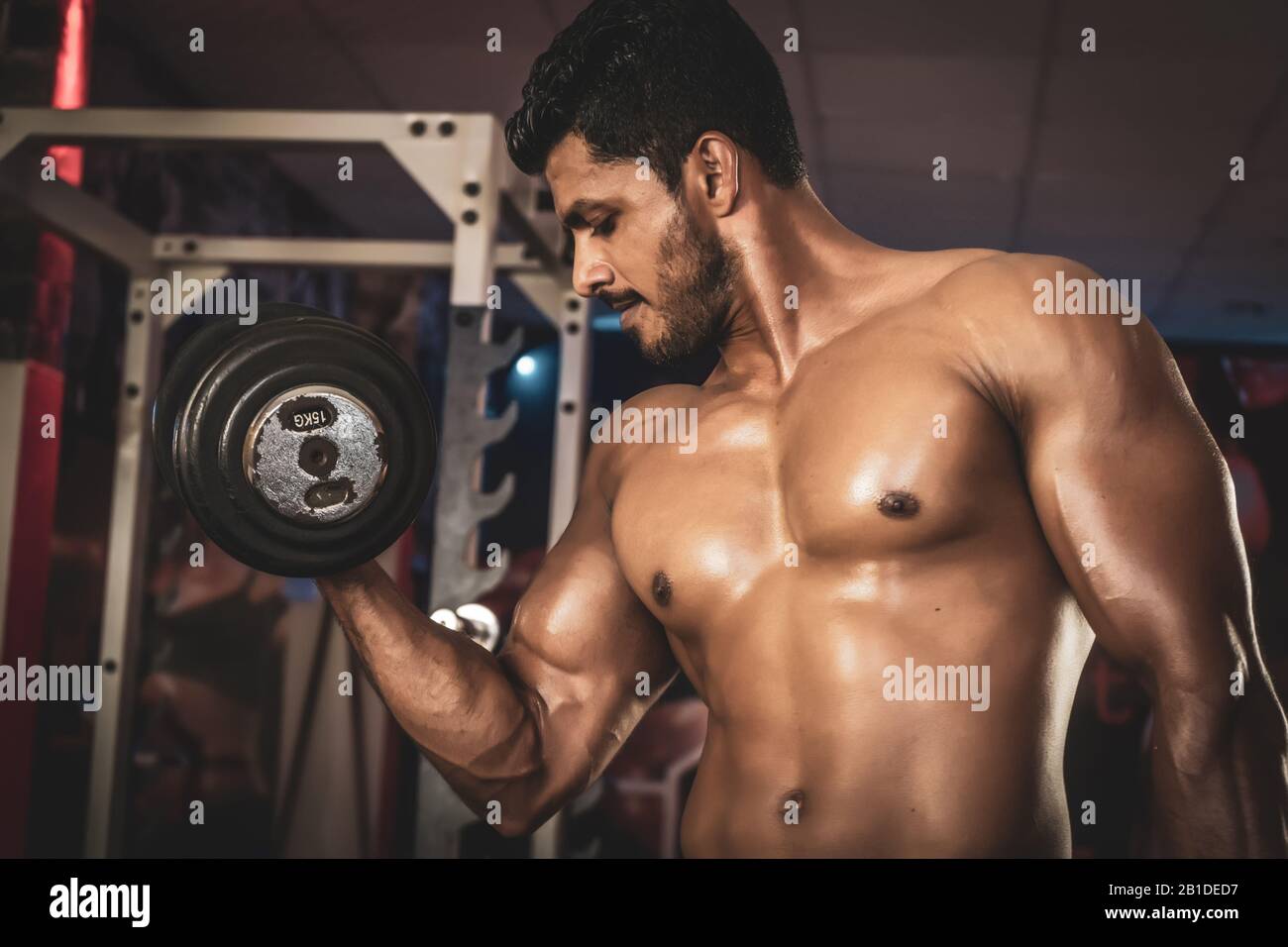 Young Man Working Out Biceps Dumbbell Concentration Curls Stock Photo ...