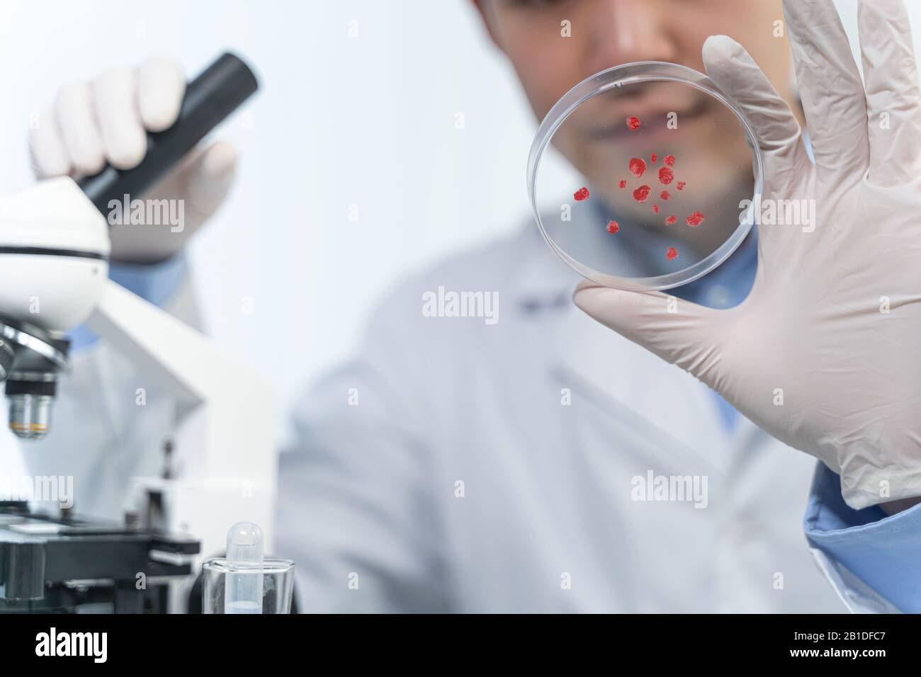Competent international expert checking blood drops in lab Stock Photo